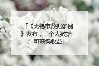 《无锡市数据条例》发布，“个人数据”可获得收益