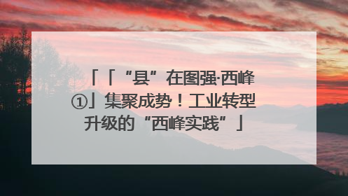 「“县”在图强·西峰①」集聚成势！工业转型升级的“西峰实践”