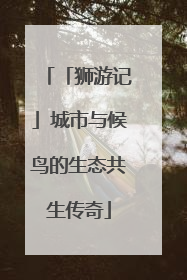 「狮游记」城市与候鸟的生态共生传奇