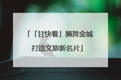 「甘快看」狮舞金城 打造文旅新名片