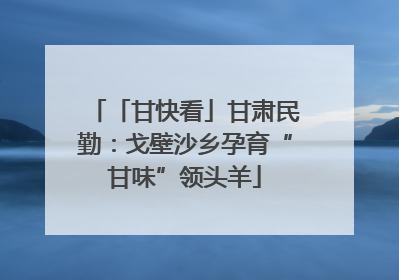 「甘快看」甘肃民勤：戈壁沙乡孕育“甘味”领头羊
