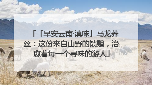 「早安云南·滇味」马龙荞丝：这份来自山野的馈赠，治愈着每一个寻味的游人