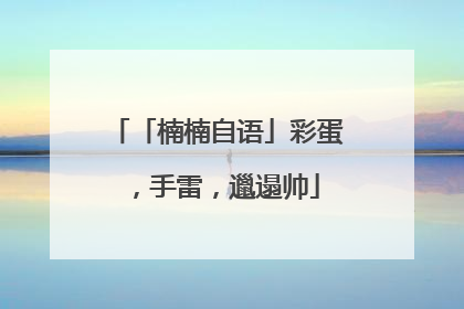 「楠楠自语」彩蛋，手雷，邋遢帅