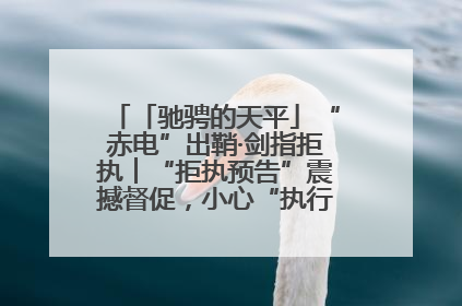 「驰骋的天平」“赤电”出鞘·剑指拒执︱“拒执预告”震撼督促，小心“执行”变“执刑”
