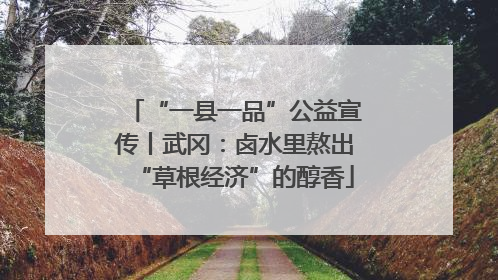 “一县一品”公益宣传丨武冈：卤水里熬出“草根经济”的醇香