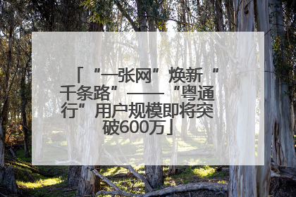 “一张网”焕新“千条路”——“粤通行”用户规模即将突破600万