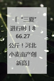 “三夏”进行时丨866.27公斤！河北小麦亩产创新高