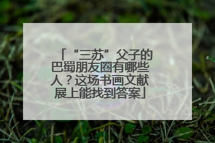 “三苏”父子的巴蜀朋友圈有哪些人？这场书画文献展上能找到答案