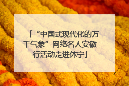 “中国式现代化的万千气象”网络名人安徽行活动走进休宁