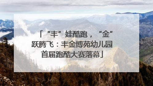 “丰”娃酷跑，“金”跃腾飞：丰金博苑幼儿园首届跑酷大赛落幕