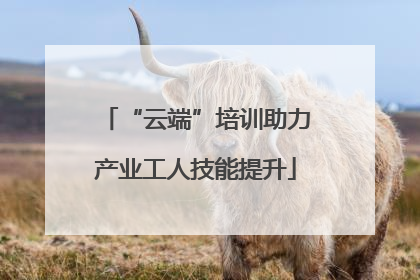 “云端”培训助力产业工人技能提升