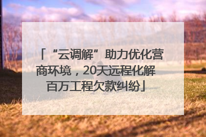 “云调解”助力优化营商环境，20天远程化解百万工程欠款纠纷
