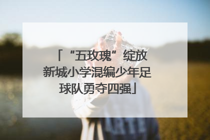 “五玫瑰”绽放 新城小学混编少年足球队勇夺四强