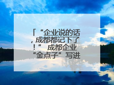 “企业说的话，成都都记下了！” 成都企业“金点子”写进数字文创政策
