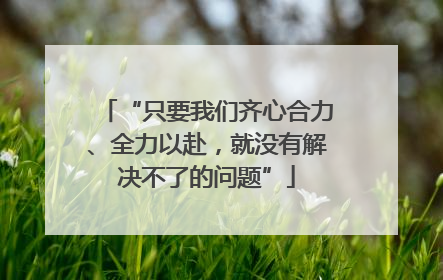 “只要我们齐心合力、全力以赴，就没有解决不了的问题”