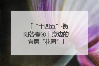 “十四五”·衡阳答卷④｜身边的宜居“花园”