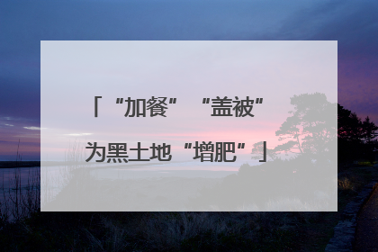“加餐”“盖被” 为黑土地“增肥”