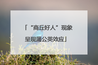 “商丘好人”现象呈现蒲公英效应