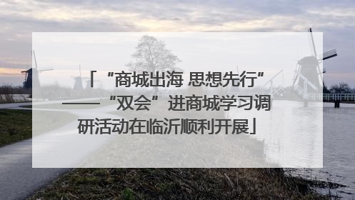 “商城出海 思想先行”——“双会”进商城学习调研活动在临沂顺利开展