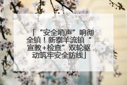 “安全哨声”响彻全镇！新泰羊流镇“宣教+检查”双轮驱动筑牢安全防线