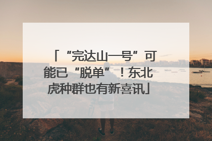 “完达山一号”可能已“脱单”！东北虎种群也有新喜讯