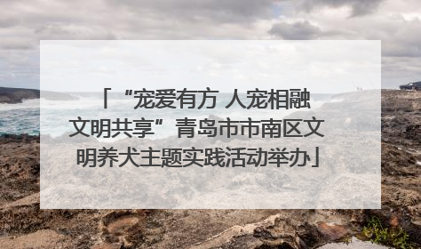 “宠爱有方 人宠相融 文明共享”青岛市市南区文明养犬主题实践活动举办