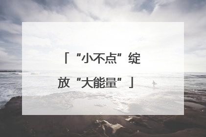 “小不点”绽放“大能量”
