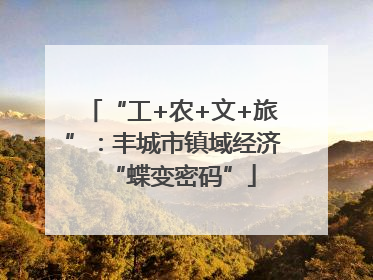 “工+农+文+旅”：丰城市镇域经济“蝶变密码”