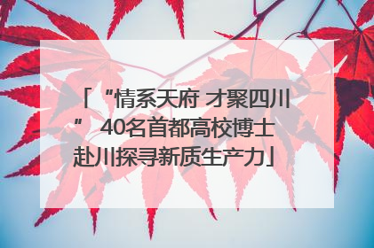 “情系天府 才聚四川” 40名首都高校博士赴川探寻新质生产力