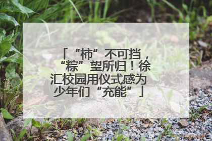 “柿”不可挡，“粽”望所归！徐汇校园用仪式感为少年们“充能”
