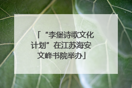 “李堡诗歌文化计划”在江苏海安文峰书院举办
