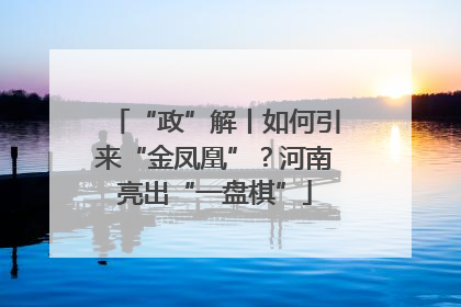 “政”解丨如何引来“金凤凰”？河南亮出“一盘棋”