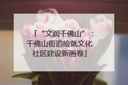 “文润千佛山”：千佛山街道绘就文化社区建设新画卷
