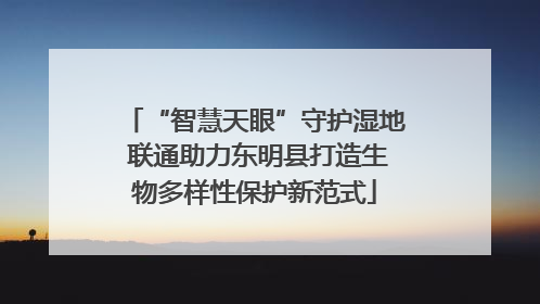 “智慧天眼”守护湿地 联通助力东明县打造生物多样性保护新范式