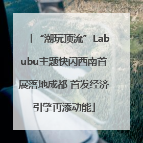 “潮玩顶流”Labubu主题快闪西南首展落地成都 首发经济引擎再添动能