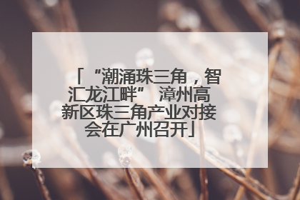 “潮涌珠三角，智汇龙江畔” 漳州高新区珠三角产业对接会在广州召开