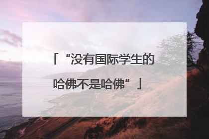 “没有国际学生的哈佛不是哈佛”