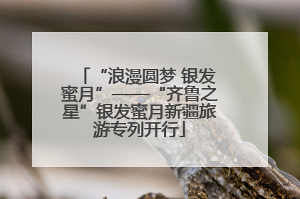 “浪漫圆梦 银发蜜月”——“齐鲁之星”银发蜜月新疆旅游专列开行