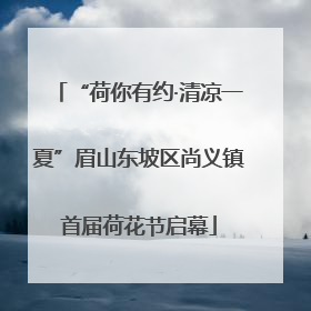 “荷你有约·清凉一夏”眉山东坡区尚义镇首届荷花节启幕