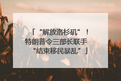 “解放洛杉矶”！特朗普令三部长联手“结束移民暴乱”
