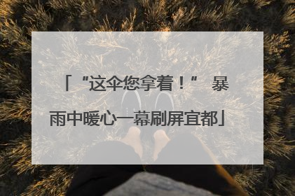 “这伞您拿着！” 暴雨中暖心一幕刷屏宜都