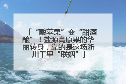 “酸苹果”变“甜酒酿”！盐源高原果的华丽转身，靠的是这场浙川千里“联姻”
