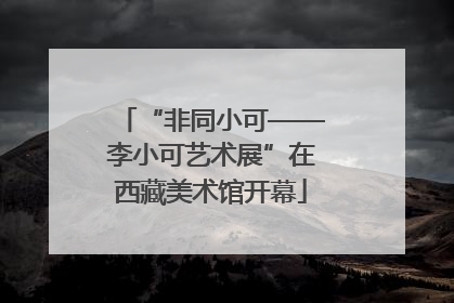 “非同小可——李小可艺术展”在西藏美术馆开幕