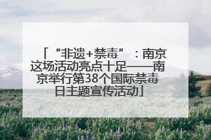 “非遗+禁毒”：南京这场活动亮点十足——南京举行第38个国际禁毒日主题宣传活动