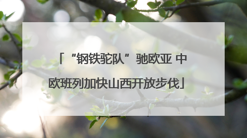 “钢铁驼队”驰欧亚 中欧班列加快山西开放步伐