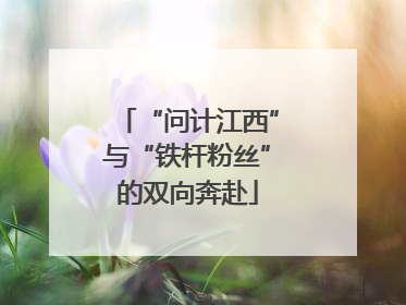 “问计江西”与“铁杆粉丝”的双向奔赴