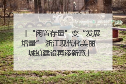 “闲置存量”变“发展增量” 浙江现代化美丽城镇建设再添新意