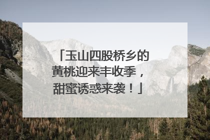 玉山四股桥乡的黄桃迎来丰收季，甜蜜诱惑来袭！