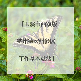玉溪市西双版纳州德宏州参展工作基本就绪
