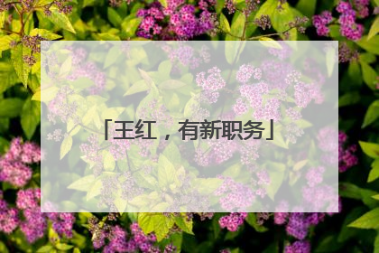 王红，有新职务
